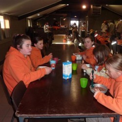 Koala 123 - Scouts en Gidsen Zaventem 